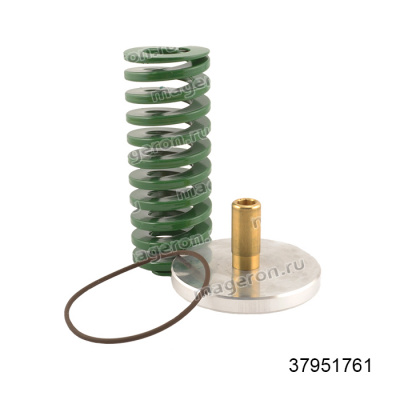 Ремкомплект клапана минимального давления 37951761; Ingersoll Rand фото в интернет-магазине Brestor