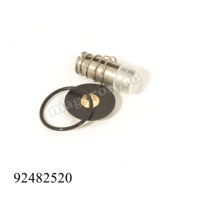 Комплект плунжера клапана EDV, 92482520; Ingersoll Rand фото в интернет-магазине Brestor